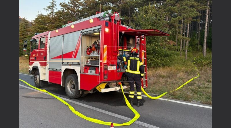 San Marino. Brucia nella notte il sottobosco della pineta, a Domagnano