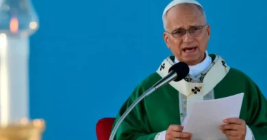 Papa Leone XIV a Rimini: 26mila persone alla Messa, oltre 650 volontari, 500 giornalisti accreditati