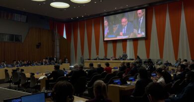 Beccari all’Assemblea Generale ONU interviene sulla Palestina: una soluzione a due Stati non può essere costruita solo dai governi, ma anche all’interno delle società