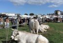 Settembre è il mese della millenaria Fiera di Pugliano
