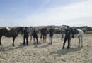 Pellegrinaggio Equestre “Sulle Orme di San Francesco” lungo il percorso San Marino – Assisi