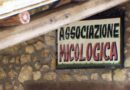 Un termovalorizzatore a San Marino? L’Ams: “Proposta fuori luogo e fuorviante avanzata dai soliti prenditori”