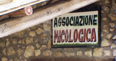 Un termovalorizzatore a San Marino? L’Ams: “Proposta fuori luogo e fuorviante avanzata dai soliti prenditori”
