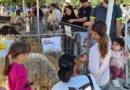 Santarcangelo. Domenica 27 settembre si conclude la Fiera di San Michele