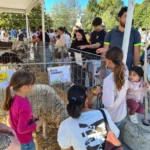 Santarcangelo. Domenica 27 settembre si conclude la Fiera di San Michele