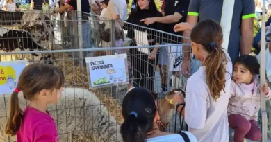 Santarcangelo. Domenica 27 settembre si conclude la Fiera di San Michele