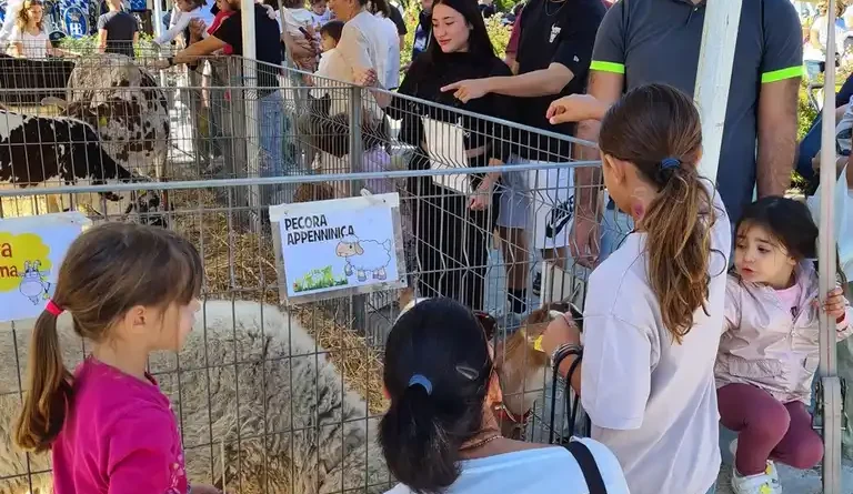 Santarcangelo. Domenica 27 settembre si conclude la Fiera di San Michele