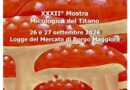 San Marino. In arrivo per il weekend la XXXII Mostra Micologica del Titano, sotto le legge di Borgo Maggiore
