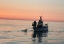 Rimini. Cento barche ferme, i pescatori non escono più: “In mare non c’è nulla, sarà un inverno catastrofico”