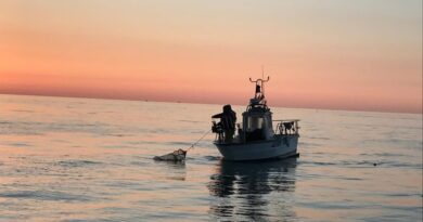 Rimini. Cento barche ferme, i pescatori non escono più: “In mare non c’è nulla, sarà un inverno catastrofico”