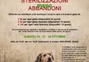San Marino. L’APAS avvia la campagna di prevenzione al randagismo: “+ Sterilizzazioni – Abbandoni”