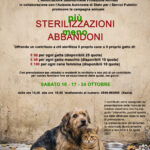 San Marino. L’APAS avvia la campagna di prevenzione al randagismo: “+ Sterilizzazioni – Abbandoni”