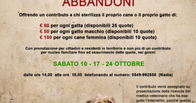 San Marino. L’APAS avvia la campagna di prevenzione al randagismo: “+ Sterilizzazioni – Abbandoni”