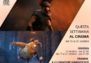 Programmazione San Marino Cinema dal 15 al 21 ottobre