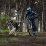 Il Team Canicross San Marino parte forte: doppio podio in Franciacorta