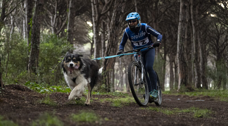 Il Team Canicross San Marino parte forte: doppio podio in Franciacorta